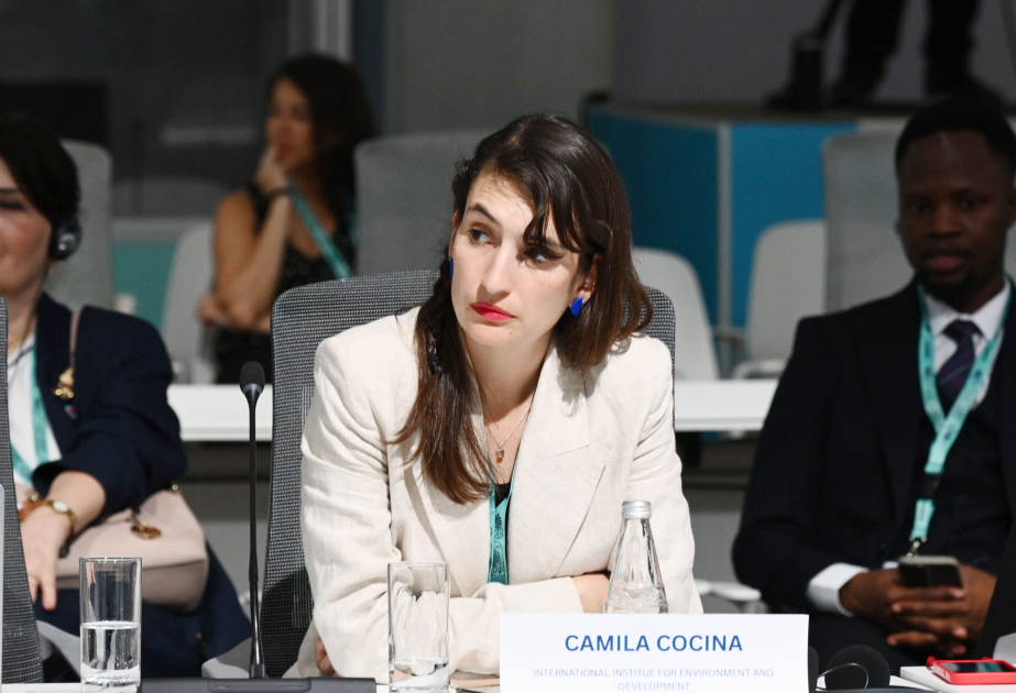 Kamila Kokina: Mənzil siyasətinin formalaşdırılmasında yerli bilik və təcrübələr əsas götürülməlidir
