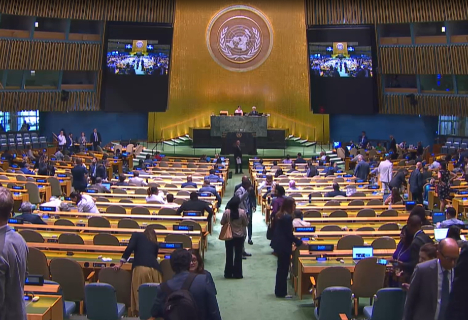General Assembly backs historic World Court climate crisis ruling