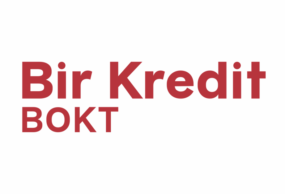ООО Bir Kredit BOKT опубликовало финансовые показатели за 2025 год
