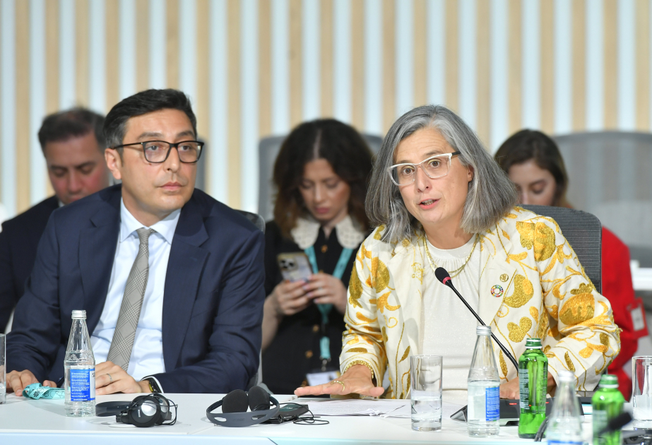 UN-Habitat-ın icraçı direktoru: Mənzil böhranı şəraitində uşaqların rifahını təmin etmək üçün qətiyyətli addımlar atmalıyıq