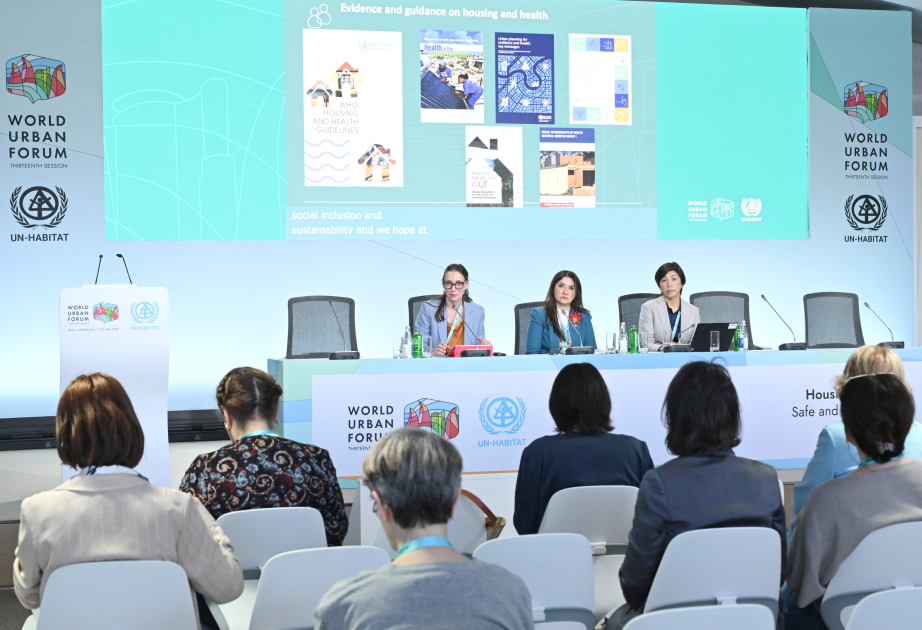 Dialogue on housing and health issues organized at WUF13