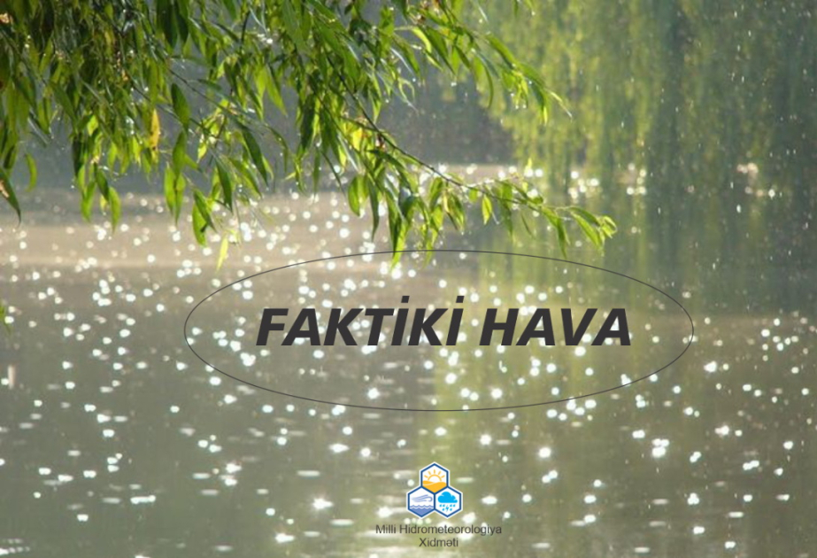 В некоторых местах идут интенсивные дожди  - ФАКТИЧЕСКАЯ ПОГОДА