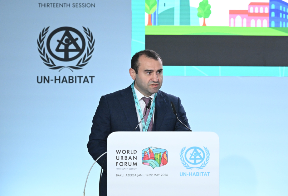 Nazir müavini: “Azərbaycan Mədəniyyəti – 2040” yeni inkişaf modeli təqdim edir