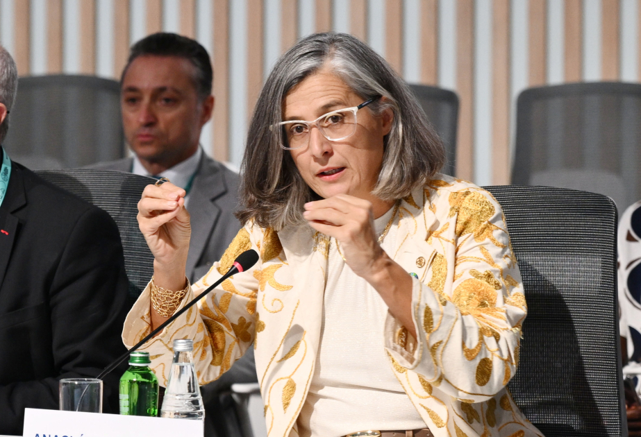 İcraçı direktor: Növbəti şəhərsalma forumuna ev sahibliyi edəcək Meksikanın qarşısında böyük vəzifə durur