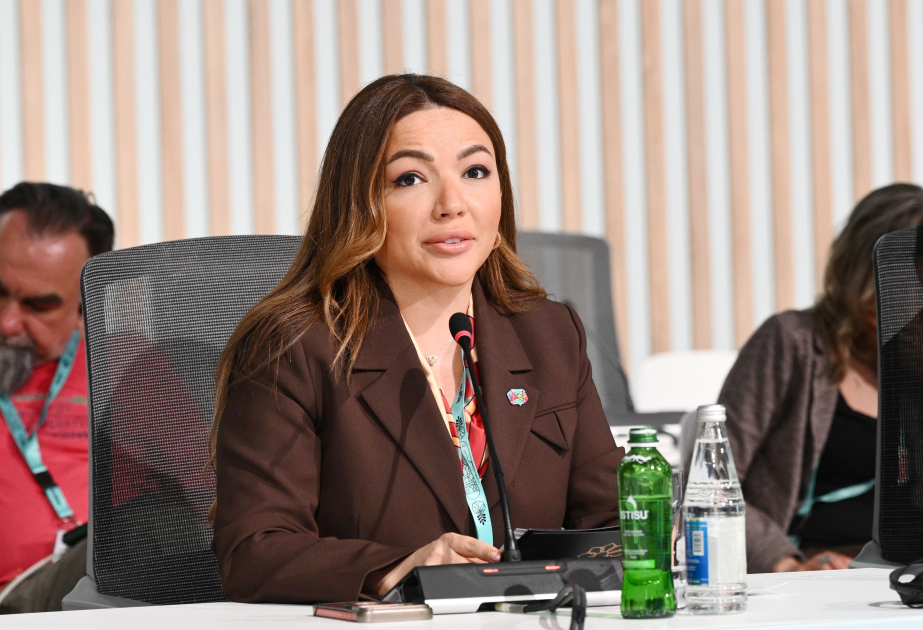 Aygün Əliyeva: Qlobal Cənub QHT Platforması ilə birgə təşkil olunan forum beynəlxalq ictimaiyyətə mühüm mesaj verdi
