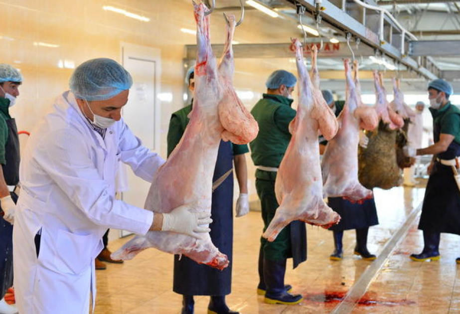 AQTA: Qurban bayramı ilə əlaqədar təhlükəsiz heyvan kəsimi və satışına nəzarət gücləndirilib
