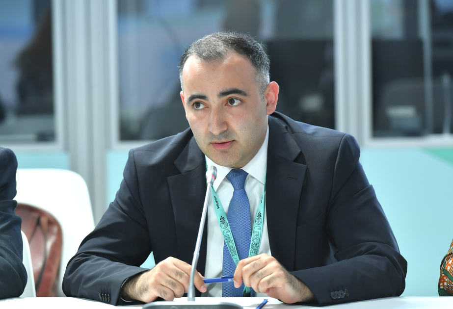 Məhəmmədəli Xudaverdiyev: Qlobal Cənub mühüm innovasiya və təcrübəyə sahibdir