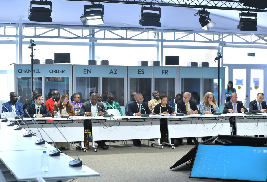 WUF13: Qlobal Cənubun sürətlə urbanizasiya olunan ölkələri üçün innovativ tərəfdaşlıqlar və həllər” mövzusunda panel yekunlaşıb