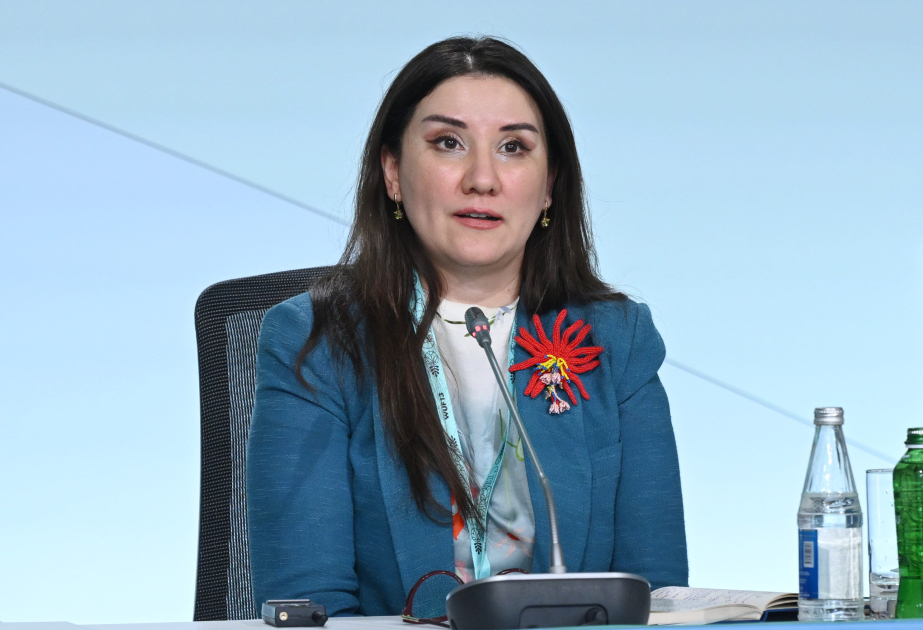 Turanə Əliyeva: Mənzil şəraitinin insanların həyatını necə dəstəklədiyini düşünməliyik