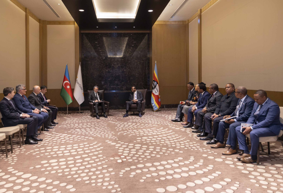 Chairman of Board of “AzerGold” meets with King of Eswatini