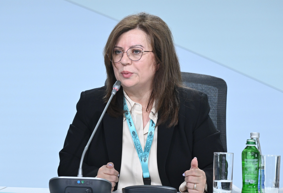 Xüsusi Nümayəndəliyin əməkdaşı: Dayanıqlı praktiki standartların yaradılması və inkişafı üçün möhkəm baza formalaşdırılır