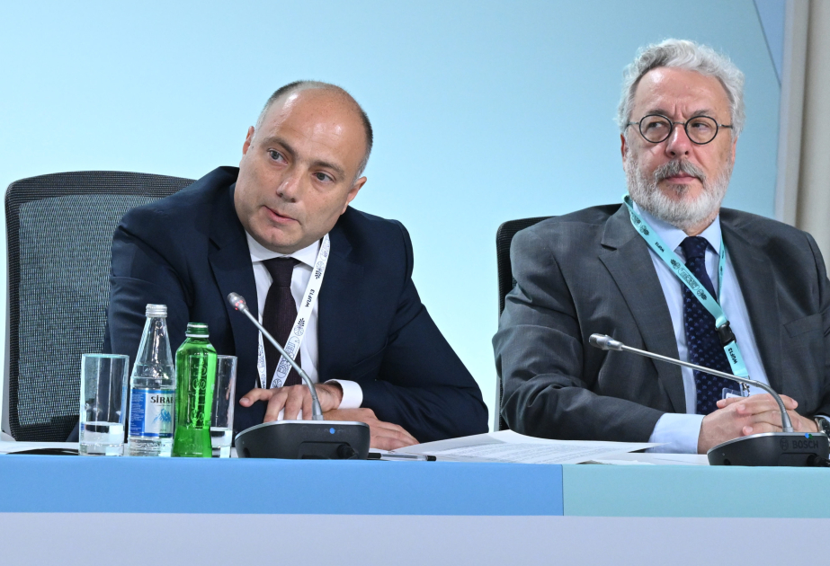 Anar Kərimov: ICESCO mədəni irs qeydiyyatında UNESCO-ya tamamlayıcı dəstək veririk