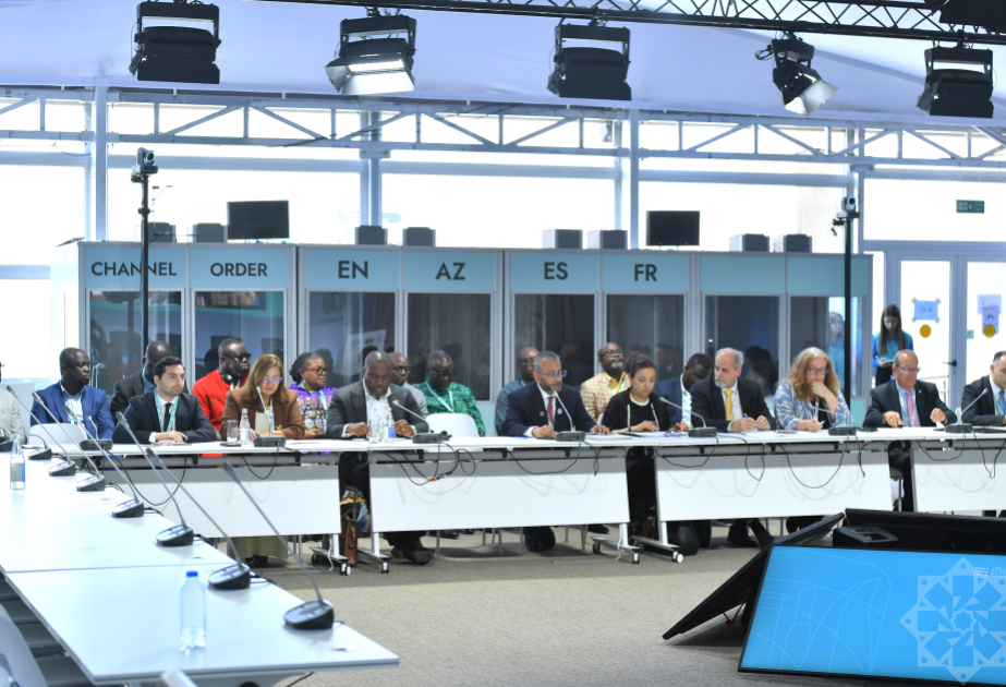 WUF13: PANELsobre alianzas innovadoras y soluciones para los países del Sur Global en rápida urbanización