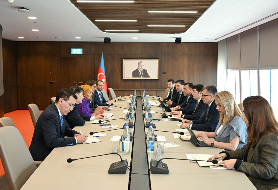 Azerbaijan, UN review current state and development prospects for cooperation