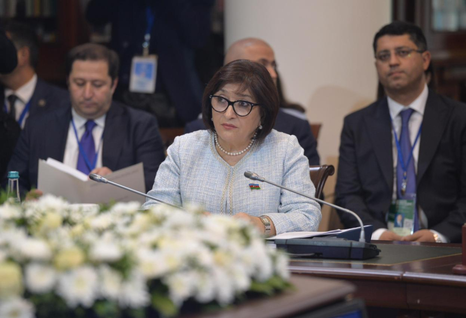 Milli Məclisin sədri Sahibə Qafarova MDB PA-nın Şura iclasında çıxış edib