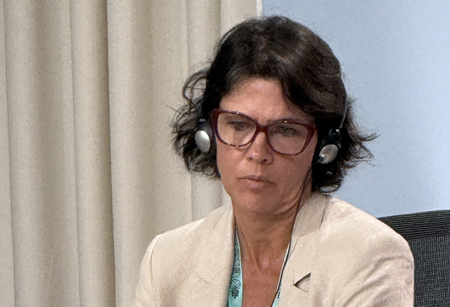 WUF13-də Braziliyanın mənzil böhranı ilə mübarizə sahəsindəki təcrübəsindən bəhs olunub