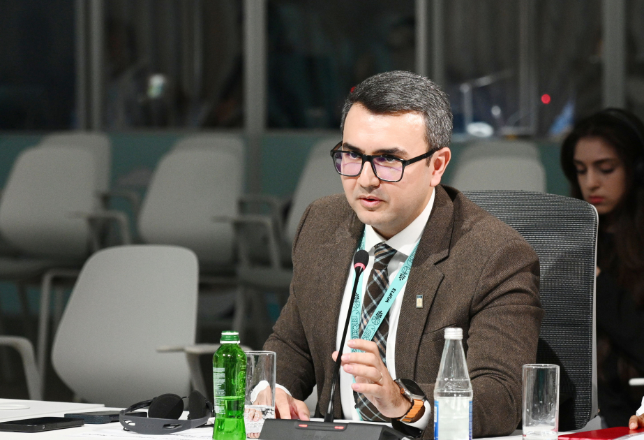 İcraçı direktor: Azərbaycanda multikulturalizm və tolerantlıq dövlət siyasətinin əsas istiqamətlərindən biridir