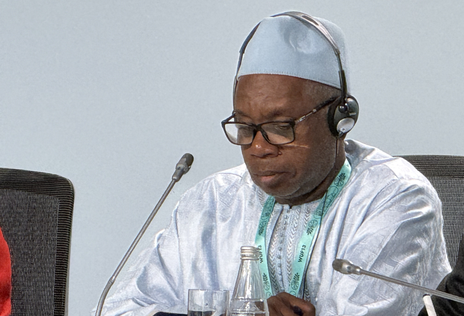 WUF13-də Bamako metropoliten modeli təqdim edilib
