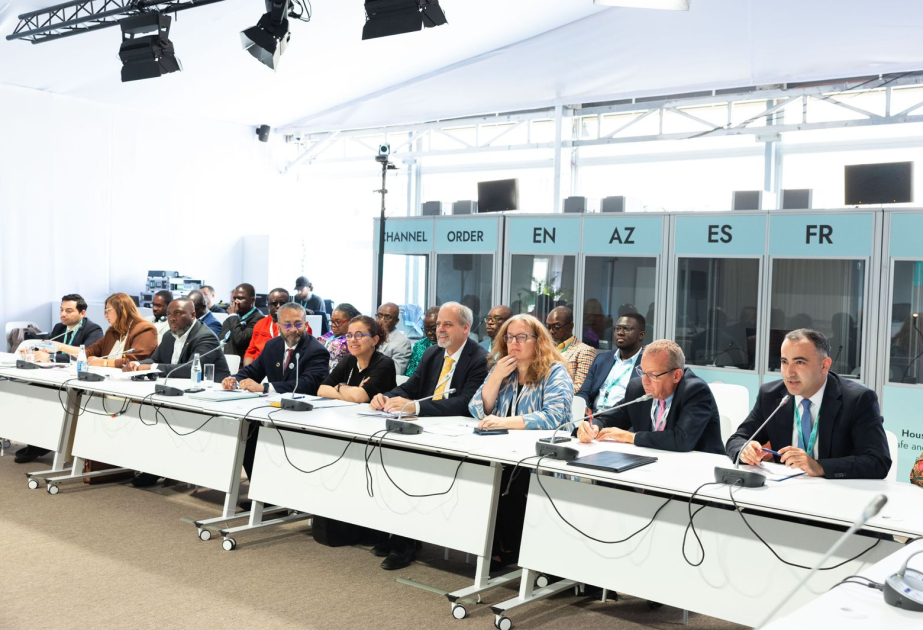 "ASAN Khidmet", UN Office for South-South Cooperation expand relations