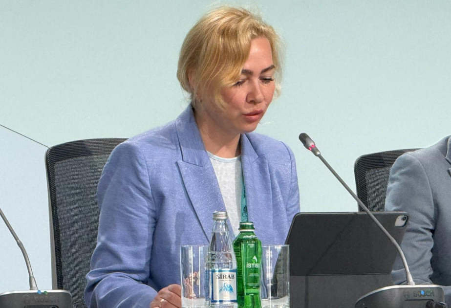 Ukrainian mayor: All digital services of the European City Council are securely protected
