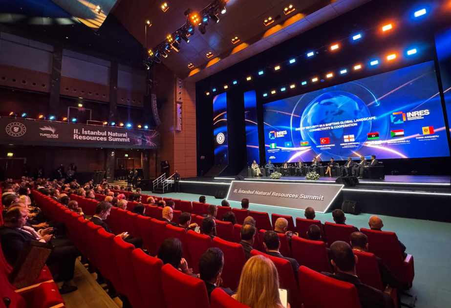 Energetika naziri İstanbul Təbii Sərvətlər Zirvəsində iştirak edib
