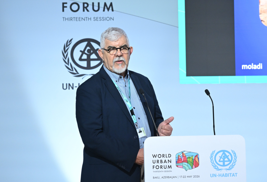 Hennie Botes: Cənubi Afrikada 3 milyon mənzil ehtiyacı və 16 milyon işsizlik sosial-iqtisadi çağırışların dərinliyini göstərir