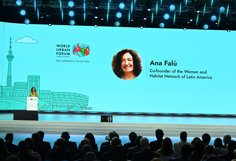 Ana Falu: Qadınların siyasət subyekti kimi nəzərə alınmaması bərabərsizliyi daha da pisləşdirir