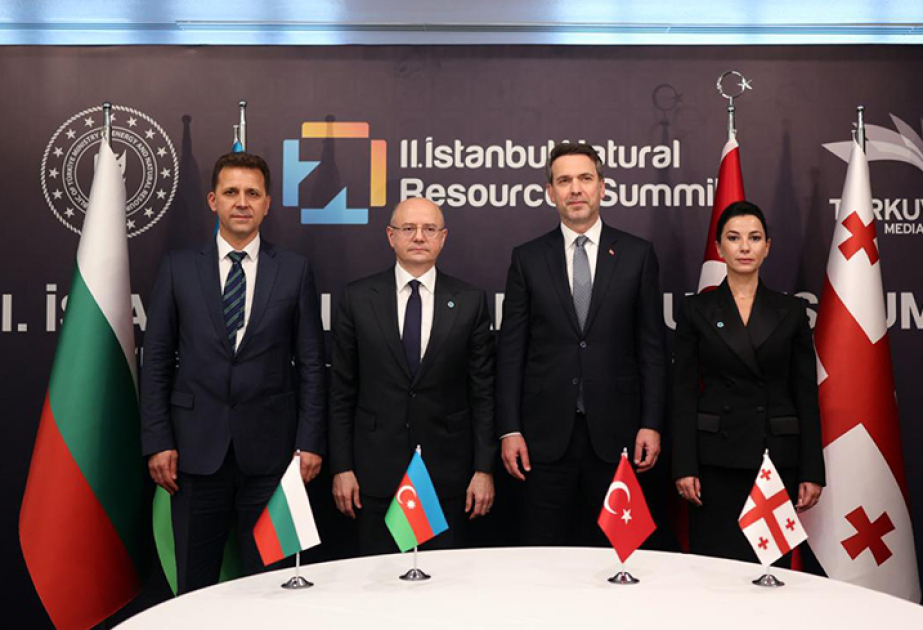 Four countries agree to establish joint company as part of Green Electricity Transmission and Trade project
