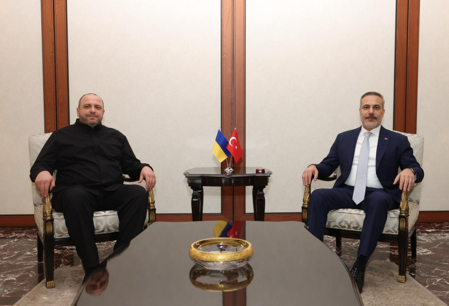 Türkiyənin xarici işlər naziri Ukrayna Milli Təhlükəsizlik və Müdafiə Şurasının katibi ilə görüşüb