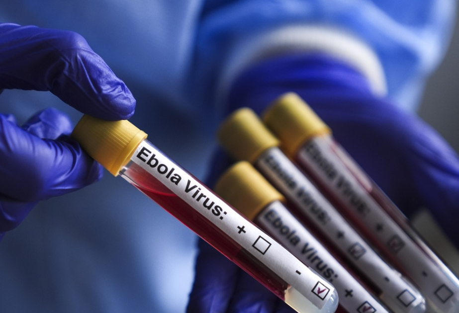 Over 900 suspected cases identified in DRC Ebola response: WHO chief