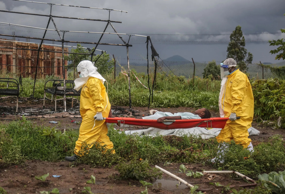 Xəbərdarlıq: 10 Afrika ölkəsində yüksək Ebola epidemiyası riski var