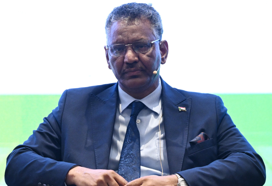 Sudan səfiri: Afrikada işsizlik səviyyəsi yüksəkdir