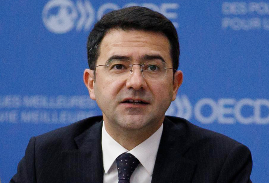 XİN-in rəsmisi: Afrika Azərbaycanın xarici siyasətində ən vacib istiqamətlərdən birinə çevrilib