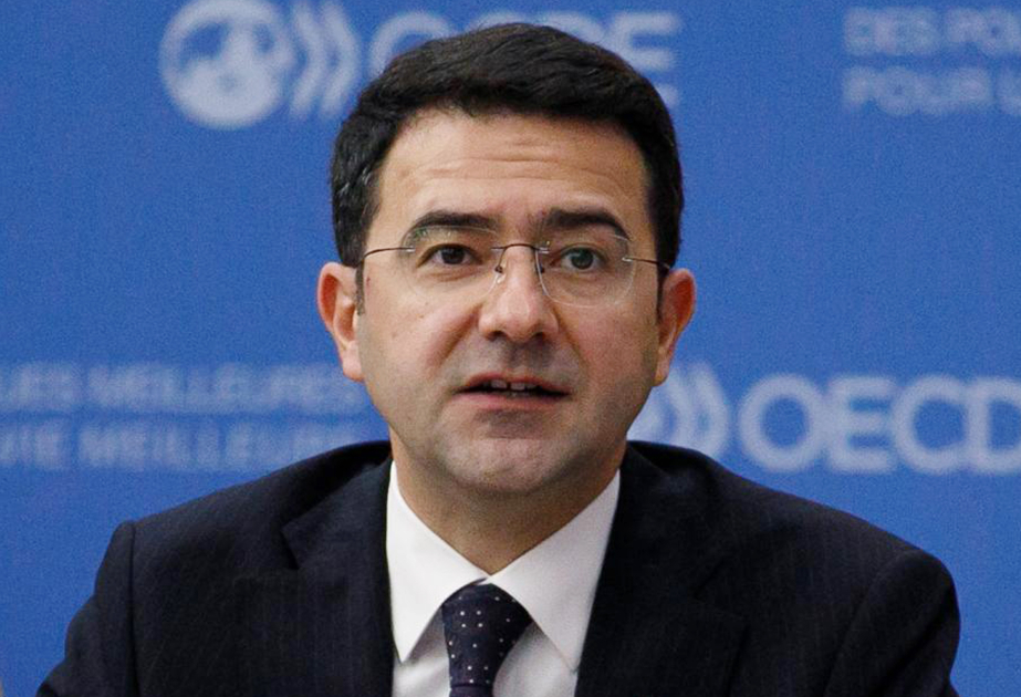 L'Afrique est devenue l'un des axes majeurs de la politique étrangère de l'Azerbaïdjan