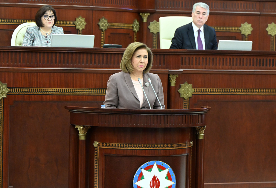 Bahar Muradova: Gender əsaslı risklərin azaldılmasında preventiv mexanizmlər səmərəli nəticə verir