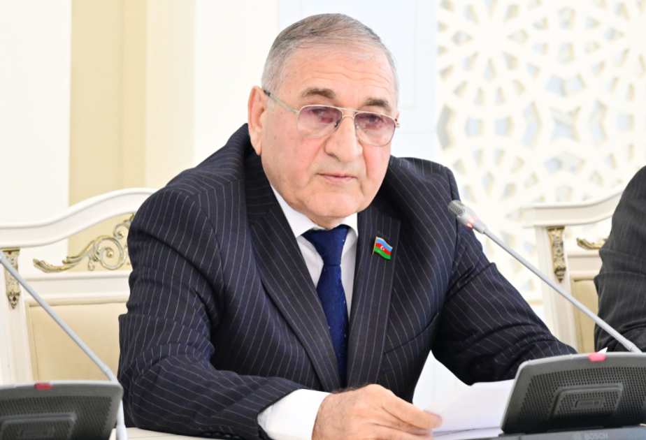 Komitə sədri: Yeni Dövlət Proqramı kənd təsərrüfatının səmərəliliyində həlledici rol oynayacaq