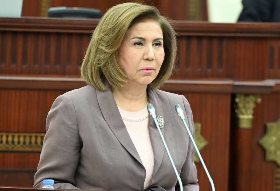 Komitə sədri: Ailə Konsepsiyası sənədi yekunlaşmaq üzrədir
