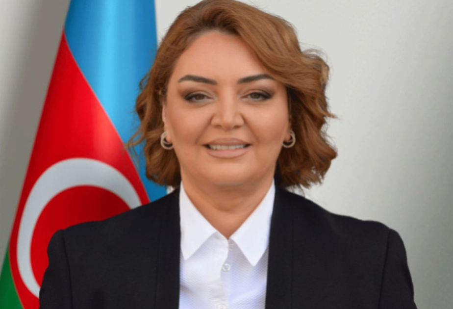 “Bakı Fəaliyyətə Çağırış” yekun sənədi gələcəkdə beynəlxalq yanaşmalara ciddi təsir göstərə bilər - RƏY