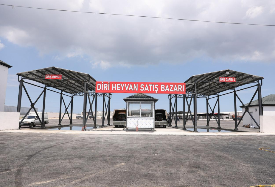Abşeron rayonunun Məmmədli kəndindəki heyvan bazarı fəaliyyətə başlayıb