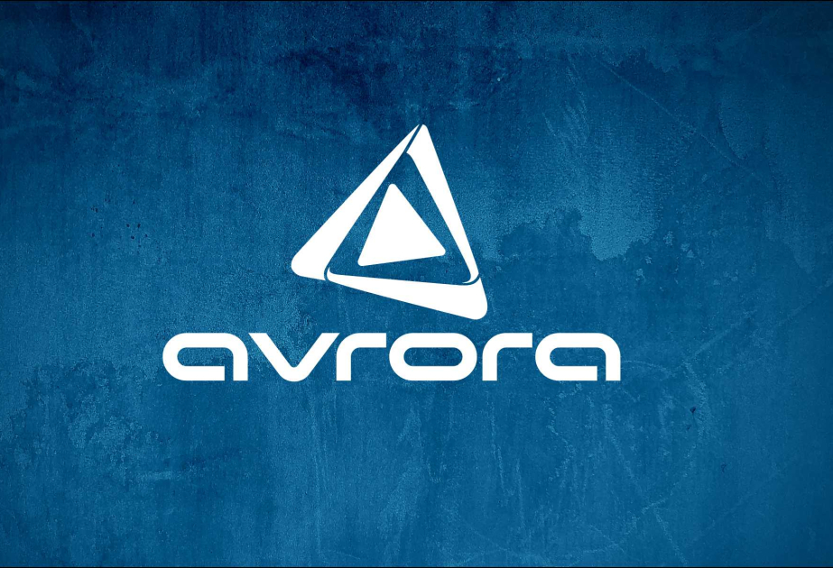 ® “Avrora Qrup” Qurban Bayramı münasibətilə aztəminatlı ailələrə bayram sovqatı çatdırıb