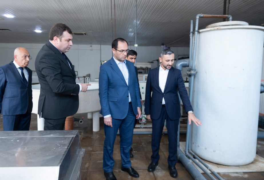 Nazir Məcnun Məmmədov Neftçalada “Xıllı balıq" MMC-nin fəaliyyəti ilə tanış olub