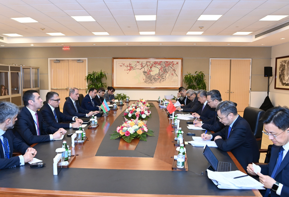 Importance of comprehensive strategic partnership between Azerbaijan and China underscored