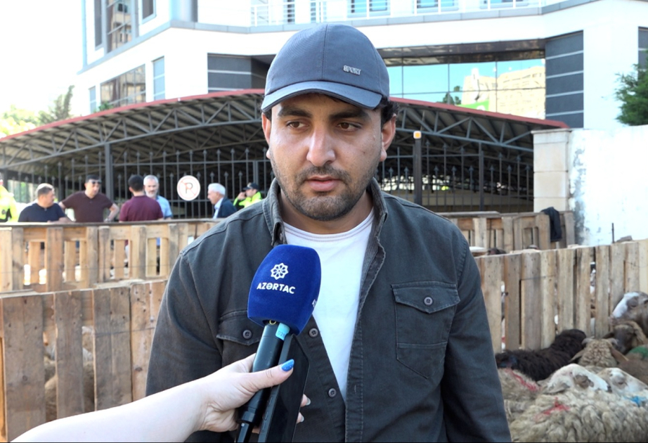 İmkansız ailələrə qurbanlıq ət verəcəyik – Paytaxtda heyvan kəsimi və satışı məntəqələrində qələbəlik müşahidə olunur