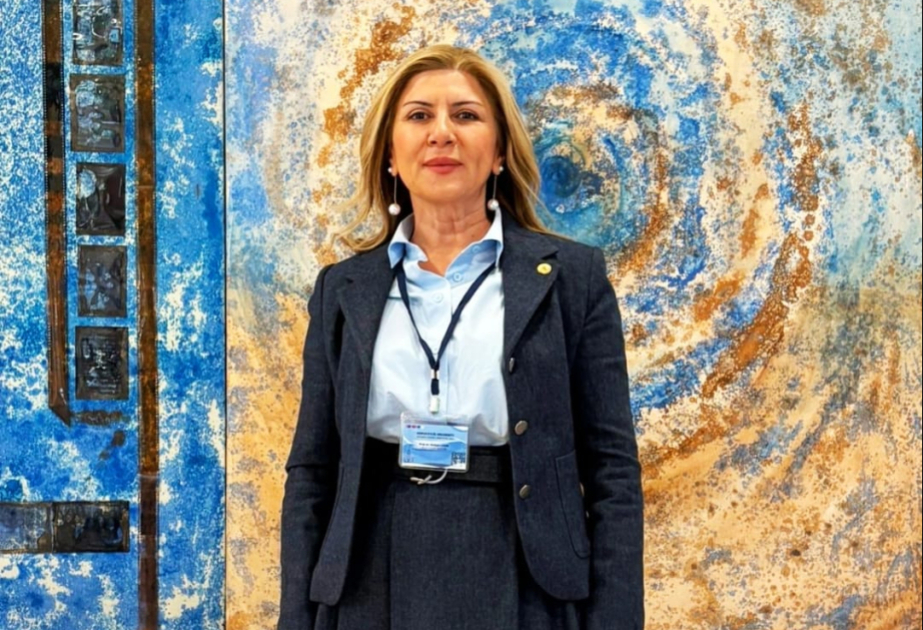 Türkiyəli professor: Zəngilanda icra olunan layihələr beynəlxalq platformalarda diqqət çəkir