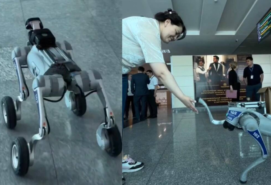 Qazaxıstanın Aktau şəhərində robot itlər ictimai məkanlarda patrul xidməti aparır