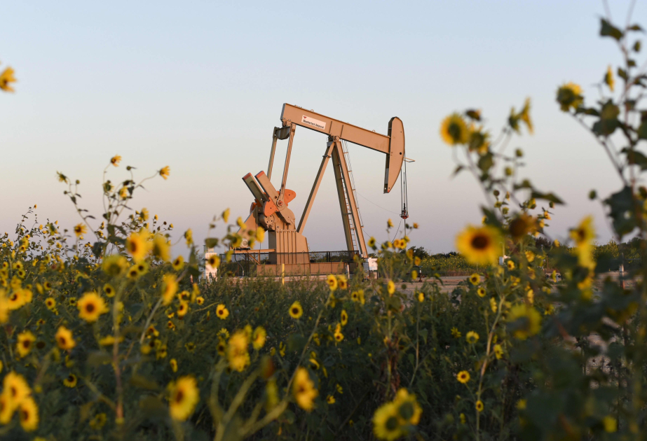 На мировых биржах цены на нефть повысились ВИДЕО