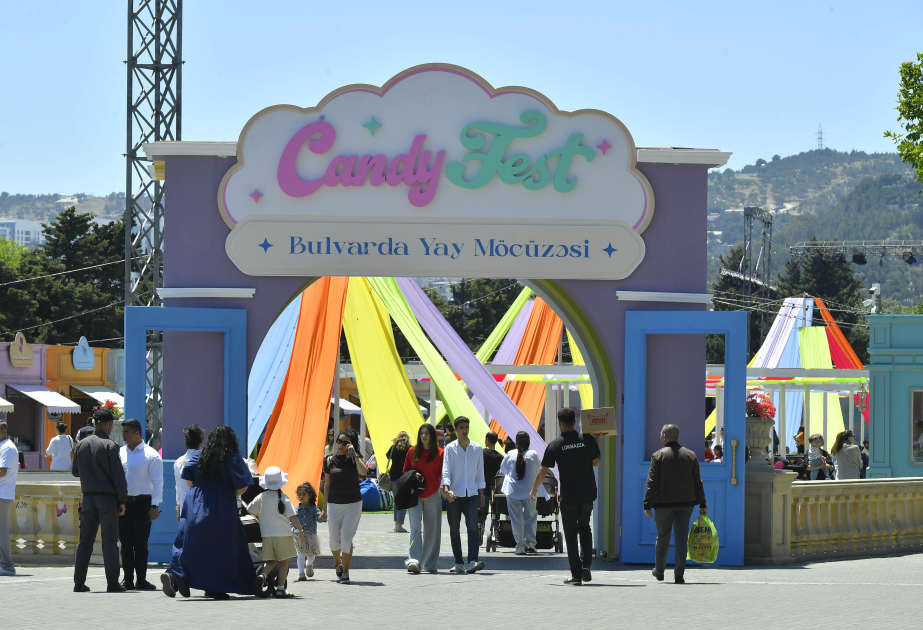 Un festival lancé dans le Parc en bord de mer