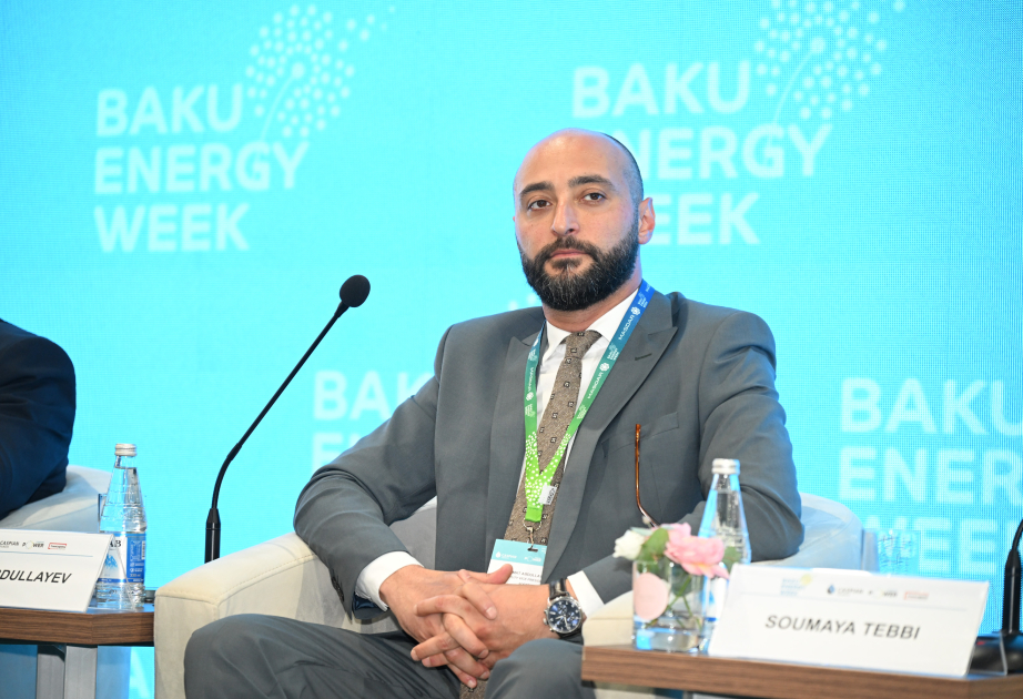 Hikmət Abdullayev: Metan emissiyalarının azaldılması istiqamətində genişmiqyaslı işlər həyata keçirilir