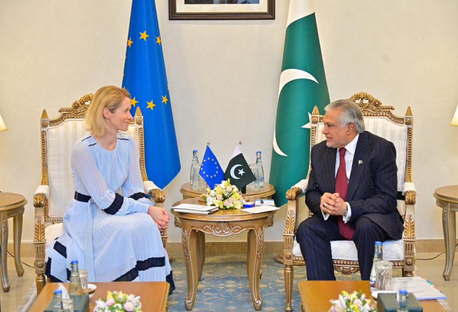 EU Strategic Vision a foundation for deeper Pakistan-EU political ties, sectoral cooperation: Dar