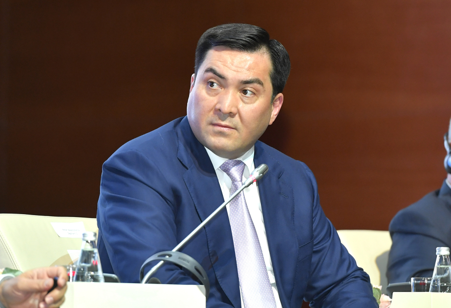 Nazir müavini: İqlim dəyişikliyi ölkənin hidroloji rejiminə birbaşa təsir göstərdiyindən enerji mənbələrinin şaxələndirilməsi prioritetdir